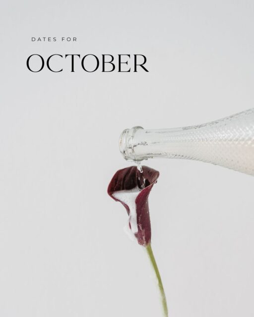 New Open door dates!
Du möchtest unverbindlich Stöbern? dann komm gerne am 7.10.25 oder am 21.10.25 bei uns im Store vorbei.
wir freuen uns auf Euch🤍
Fotos @elenapetersfotografie